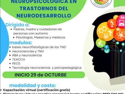 Capacitaci&oacute;n  en intervenci&oacute;n nueropsicopedagog&iacute;a  en TND  Q4  2024 