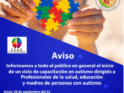Capacitaci&oacute;n en Autismo 